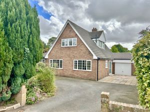 Front- click for photo gallery